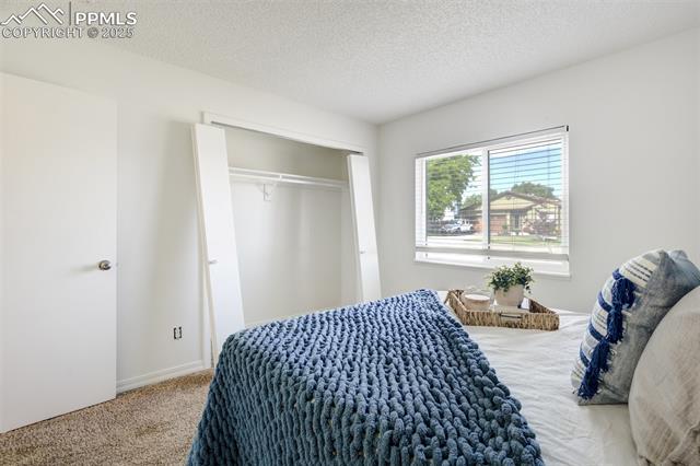 MLS Image for 529  Blossom Field  ,Fountain, Colorado