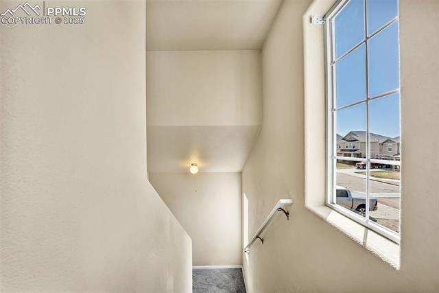 MLS Image for 9214  Sand Myrtle  ,Colorado Springs, Colorado