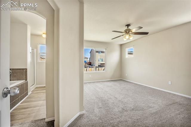 MLS Image for 9214  Sand Myrtle  ,Colorado Springs, Colorado
