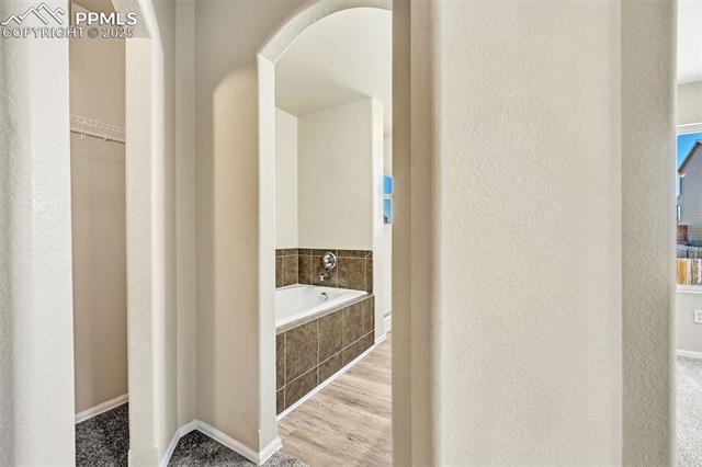 MLS Image for 9214  Sand Myrtle  ,Colorado Springs, Colorado