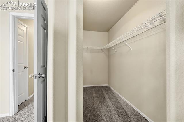 MLS Image for 9214  Sand Myrtle  ,Colorado Springs, Colorado