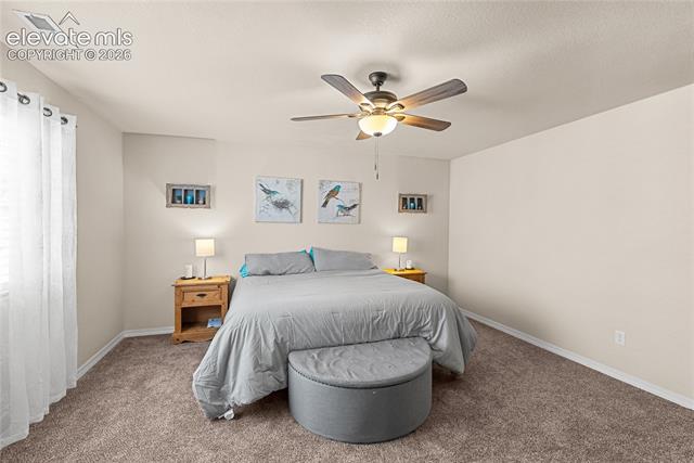 MLS Image for 4044  Silver Star  ,Colorado Springs, Colorado