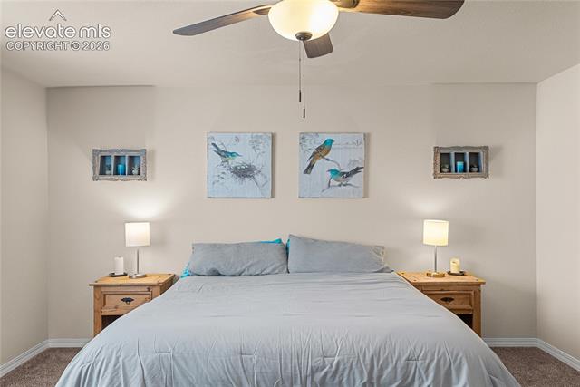 MLS Image for 4044  Silver Star  ,Colorado Springs, Colorado