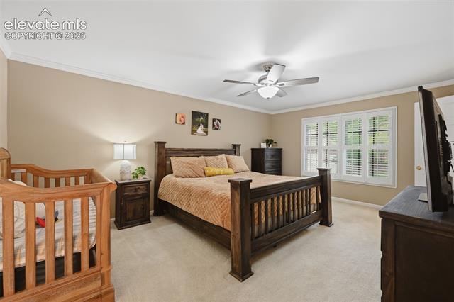 MLS Image for 6914  Oak Valley  ,Colorado Springs, Colorado