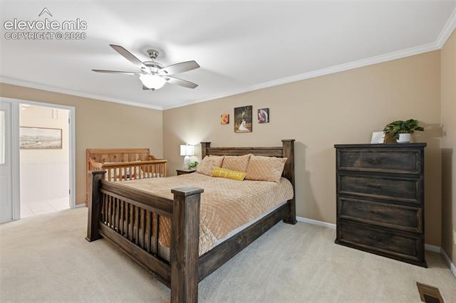 MLS Image for 6914  Oak Valley  ,Colorado Springs, Colorado