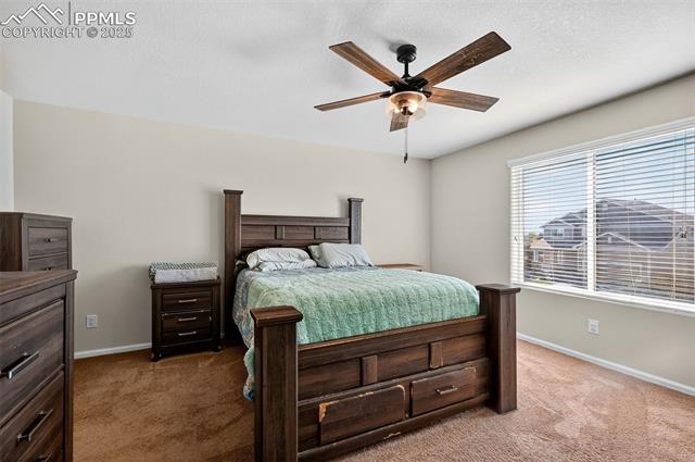 MLS Image for 6705  Liberator  ,Colorado Springs, Colorado