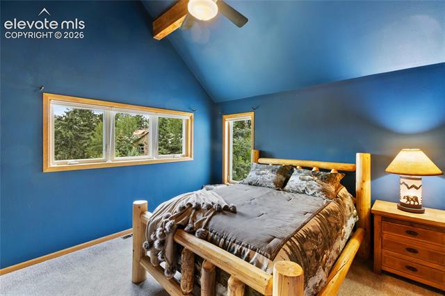 MLS Image for 591  Skyline  ,Woodland Park, Colorado