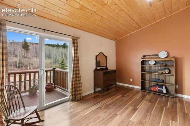MLS Image for 689  Divide South  ,Divide, Colorado