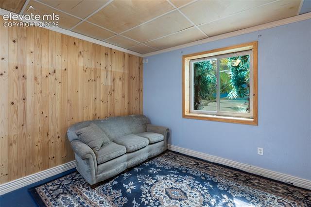 MLS Image for 689  Divide South  ,Divide, Colorado