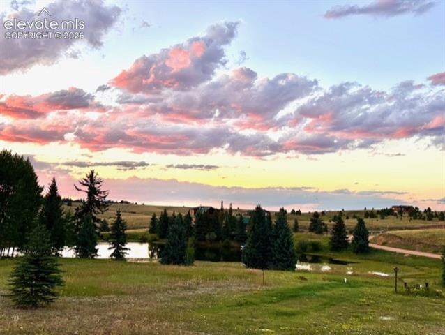 MLS Image for 689  Divide South  ,Divide, Colorado