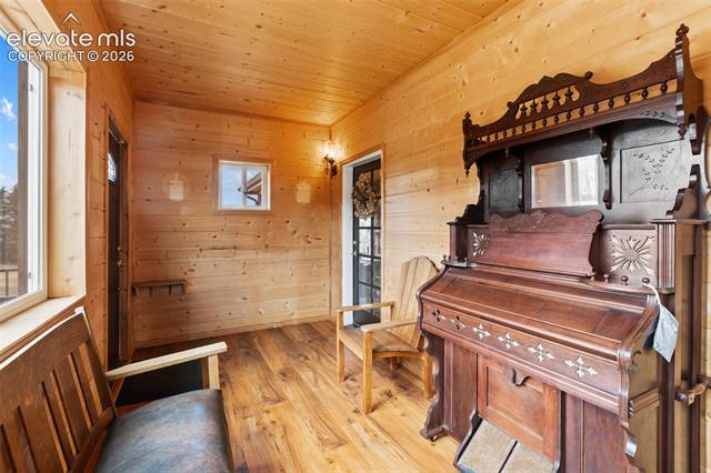 MLS Image for 689  Divide South  ,Divide, Colorado