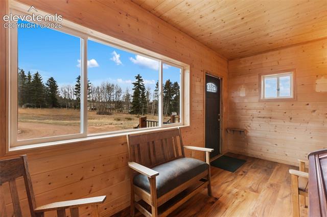 MLS Image for 689  Divide South  ,Divide, Colorado