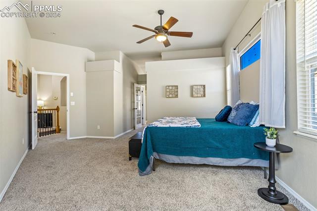 MLS Image for 3815  Cherry Plum  ,Colorado Springs, Colorado