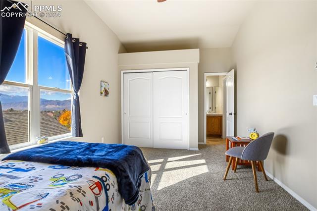 MLS Image for 3815  Cherry Plum  ,Colorado Springs, Colorado