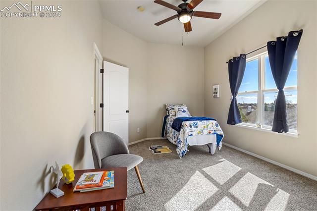 MLS Image for 3815  Cherry Plum  ,Colorado Springs, Colorado