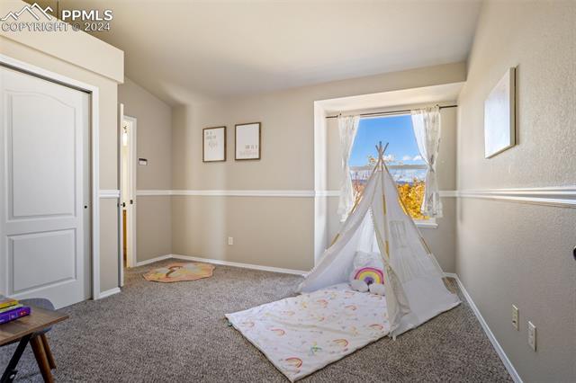 MLS Image for 3815  Cherry Plum  ,Colorado Springs, Colorado