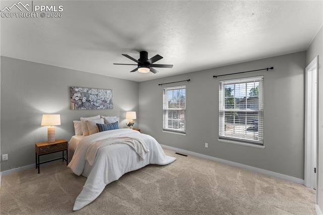MLS Image for 234  Dolomite  ,Colorado Springs, Colorado