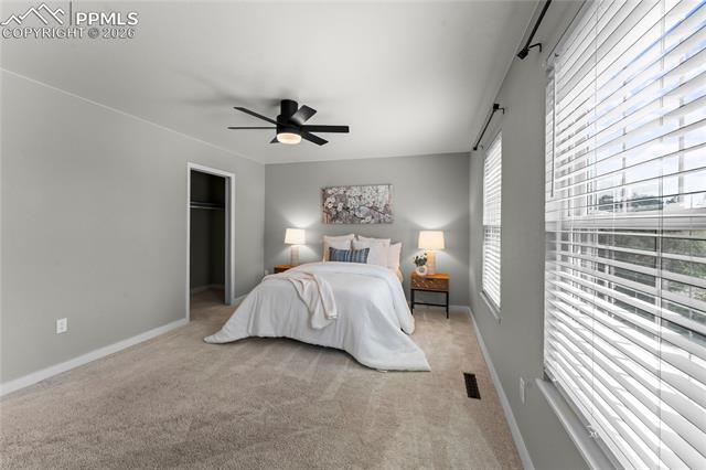 MLS Image for 234  Dolomite  ,Colorado Springs, Colorado