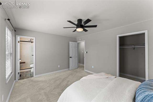 MLS Image for 234  Dolomite  ,Colorado Springs, Colorado