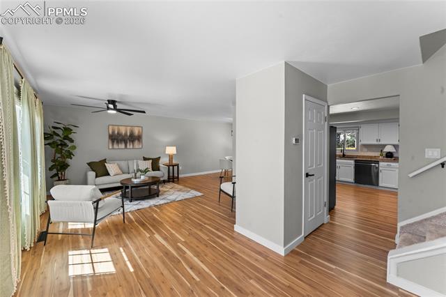 MLS Image for 234  Dolomite  ,Colorado Springs, Colorado