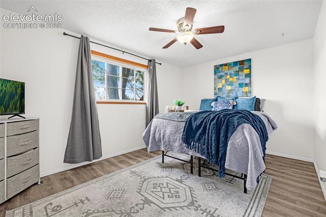 MLS Image for 4242  Amiable  ,Colorado Springs, Colorado