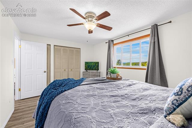 MLS Image for 4242  Amiable  ,Colorado Springs, Colorado