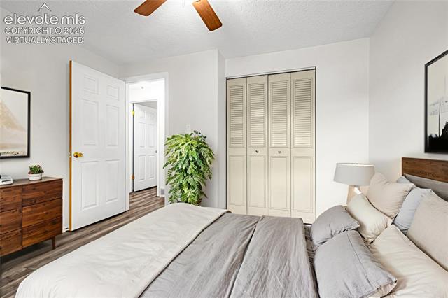 MLS Image for 4242  Amiable  ,Colorado Springs, Colorado