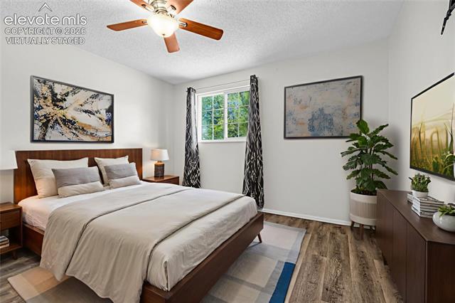 MLS Image for 4242  Amiable  ,Colorado Springs, Colorado