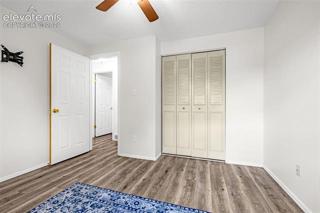 MLS Image for 4242  Amiable  ,Colorado Springs, Colorado