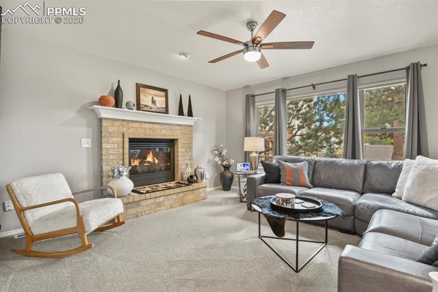 MLS Image for 15385  Paddington  ,Colorado Springs, Colorado
