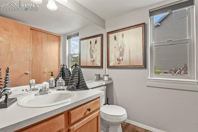 MLS Image for 15385  Paddington  ,Colorado Springs, Colorado