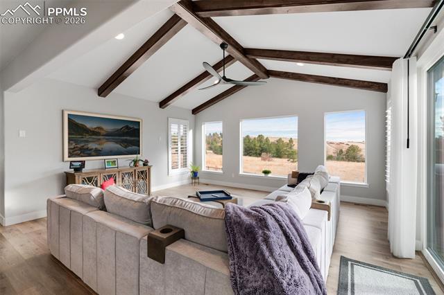 MLS Image for 2119  Seaglass  ,Colorado Springs, Colorado