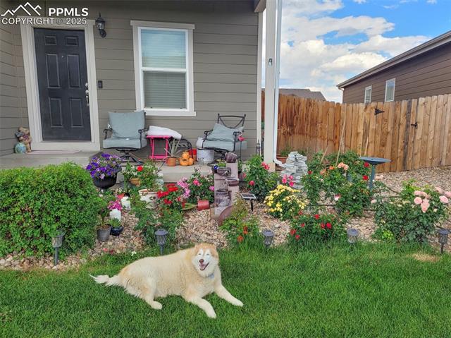 MLS Image for 10178  Intrepid  ,Colorado Springs, Colorado