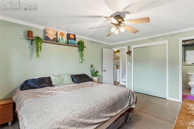 MLS Image for 2327  Condor  ,Colorado Springs, Colorado