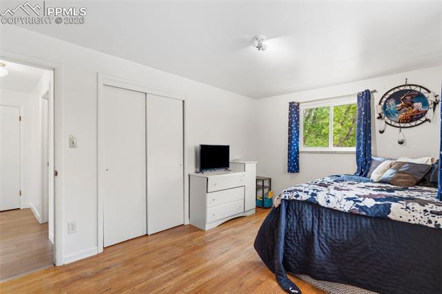 MLS Image for 2327  Condor  ,Colorado Springs, Colorado