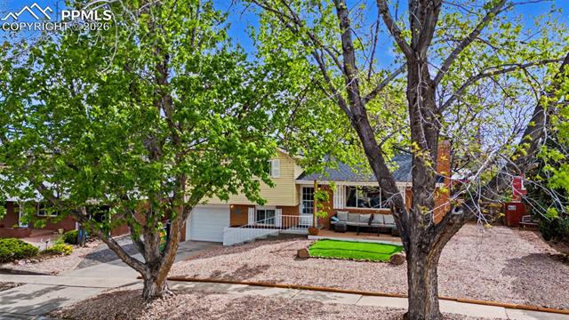 MLS Image for 2327  Condor  ,Colorado Springs, Colorado