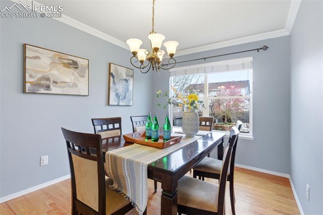 MLS Image for 8441  Old Exchange  ,Colorado Springs, Colorado
