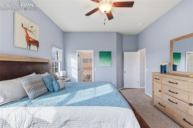 MLS Image for 8441  Old Exchange  ,Colorado Springs, Colorado