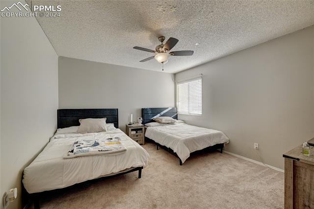 MLS Image for 6025  Fescue  ,Colorado Springs, Colorado