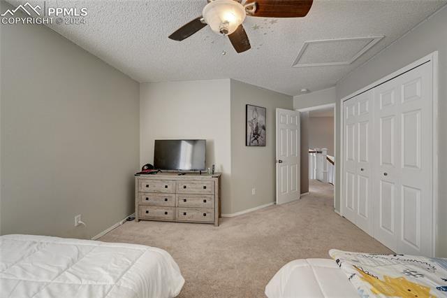 MLS Image for 6025  Fescue  ,Colorado Springs, Colorado