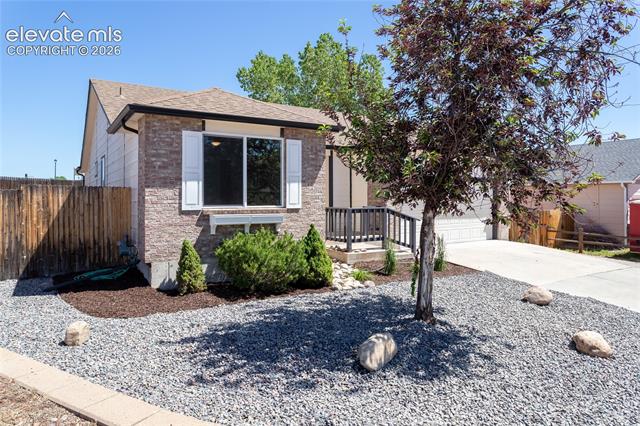 MLS Image for 1504  Ancestra  ,Fountain, Colorado