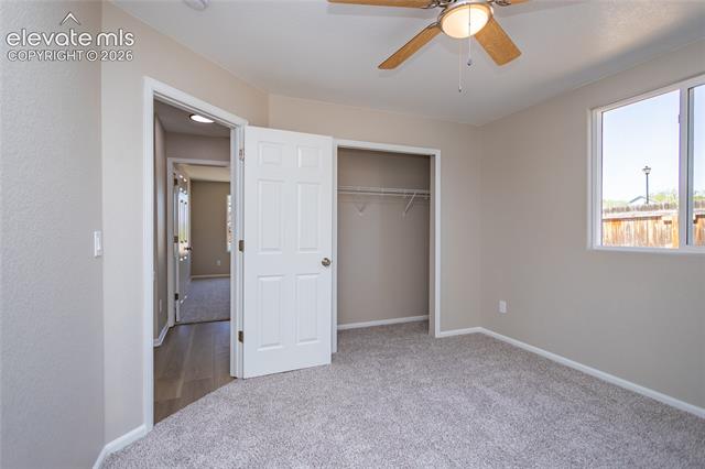 MLS Image for 1504  Ancestra  ,Fountain, Colorado