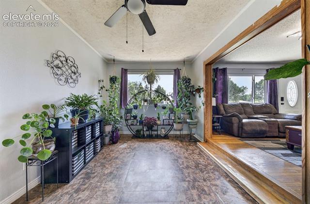 MLS Image for 1372  Luna  ,Fountain, Colorado
