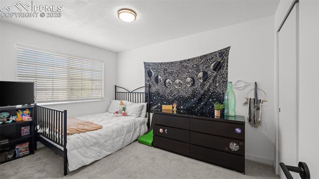 MLS Image for 3230  Pony Tracks  ,Colorado Springs, Colorado