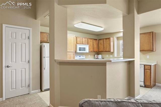 MLS Image for 7045  Ash Creek  202 ,Colorado Springs, Colorado