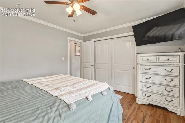MLS Image for 3930  Encino  ,Colorado Springs, Colorado