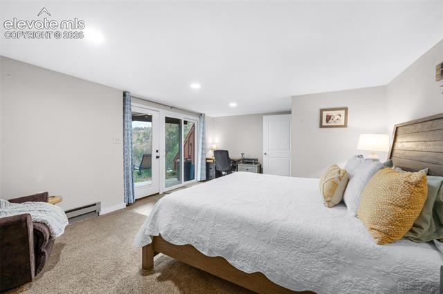 MLS Image for 205  Eagleview  ,Florissant, Colorado