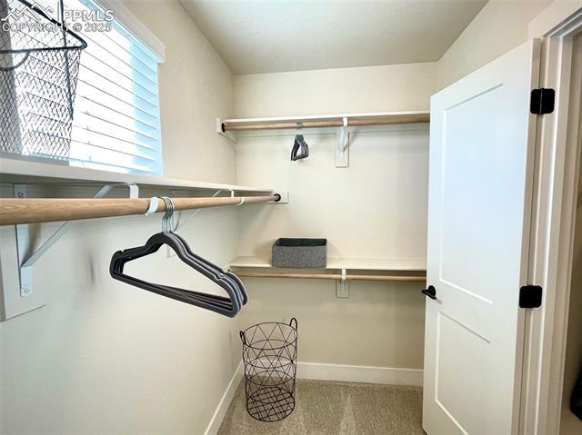 MLS Image for 6156  Steele Creek  ,Colorado Springs, Colorado