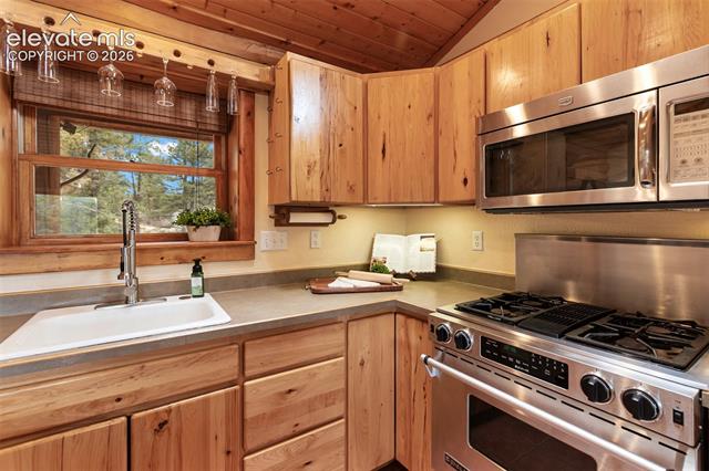 MLS Image for 918  Douglas Fir  ,Woodland Park, Colorado