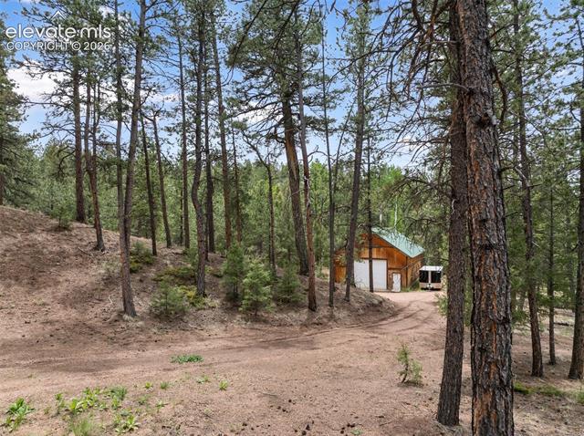 MLS Image for 918  Douglas Fir  ,Woodland Park, Colorado